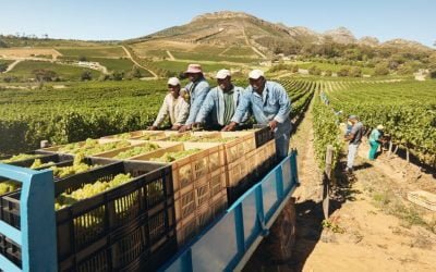 Transport of farm workers
