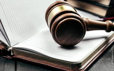 The Employment Equity Act 2019