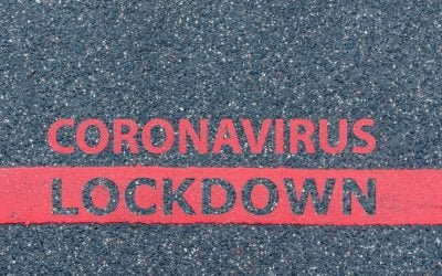 National lockdown and the employer
