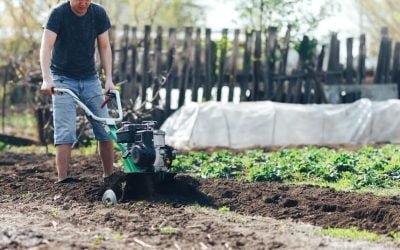 Manage labour sustainably