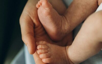 Parental leave update
