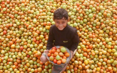 What does the law say about child labour (SD 13)